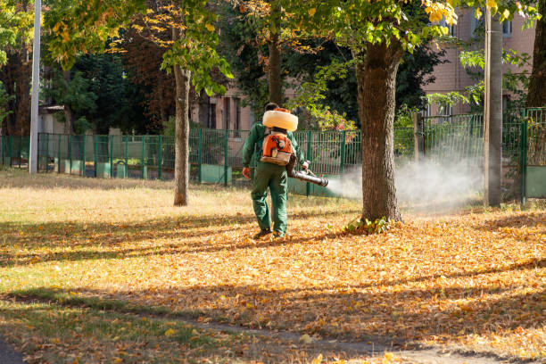 Best Pest Control Treatment  in Essex Fells, NJ